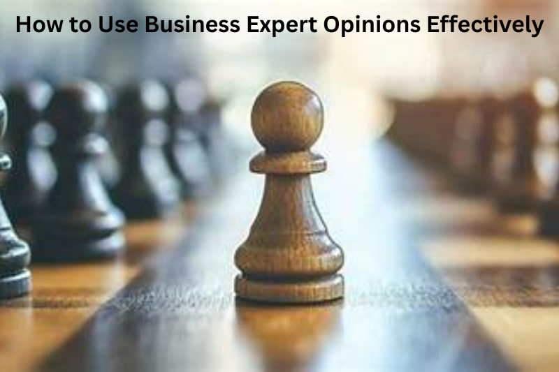 How to Use Business Expert Opinions Effectively