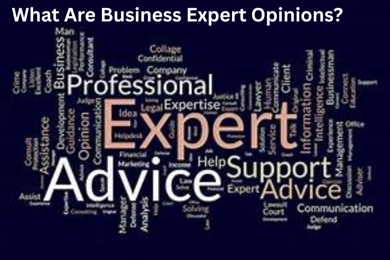 What Are Business Expert Opinions