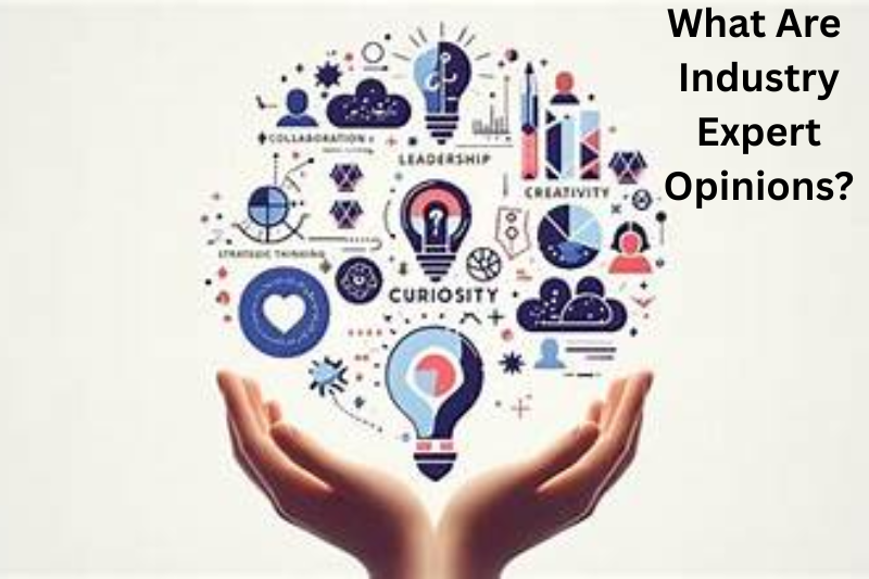 What Are Industry Expert Opinions