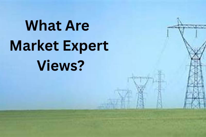 What Are Market Expert Views