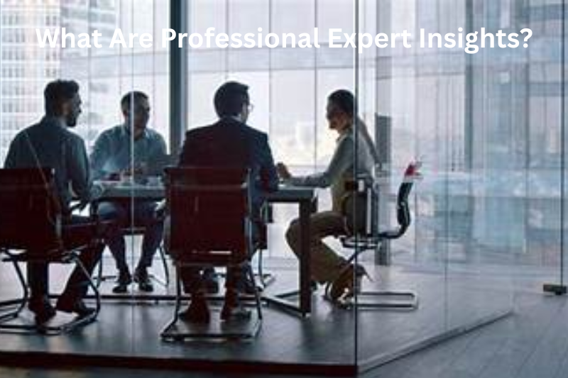 What Are Professional Expert Insights