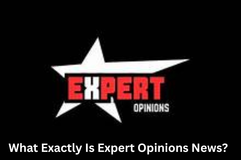 What Exactly Is Expert Opinions News